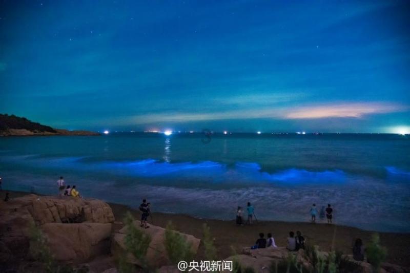 逃离梦想之家