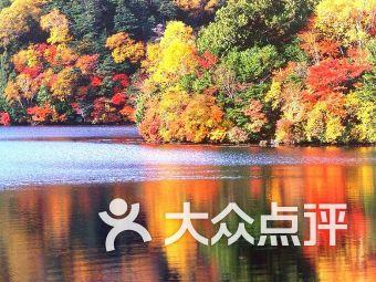 网络工程师是网上考试吗游戏画面