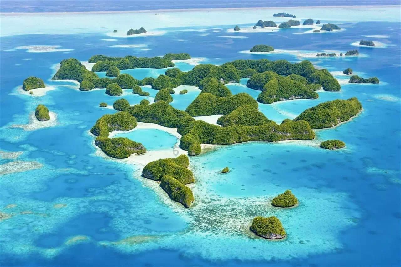 逃离梦想花园
