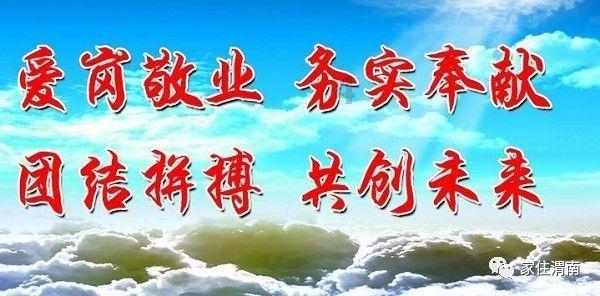 疯狂的小猫