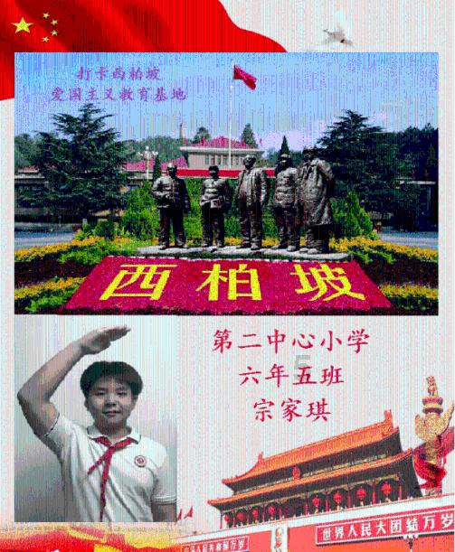 特斯拉市值一夜蒸发800亿美元，国产车申请出战！电池ETF（561910）获资金接连增仓