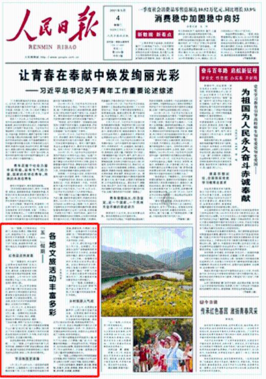 小猫钓鱼游戏龙王版有船