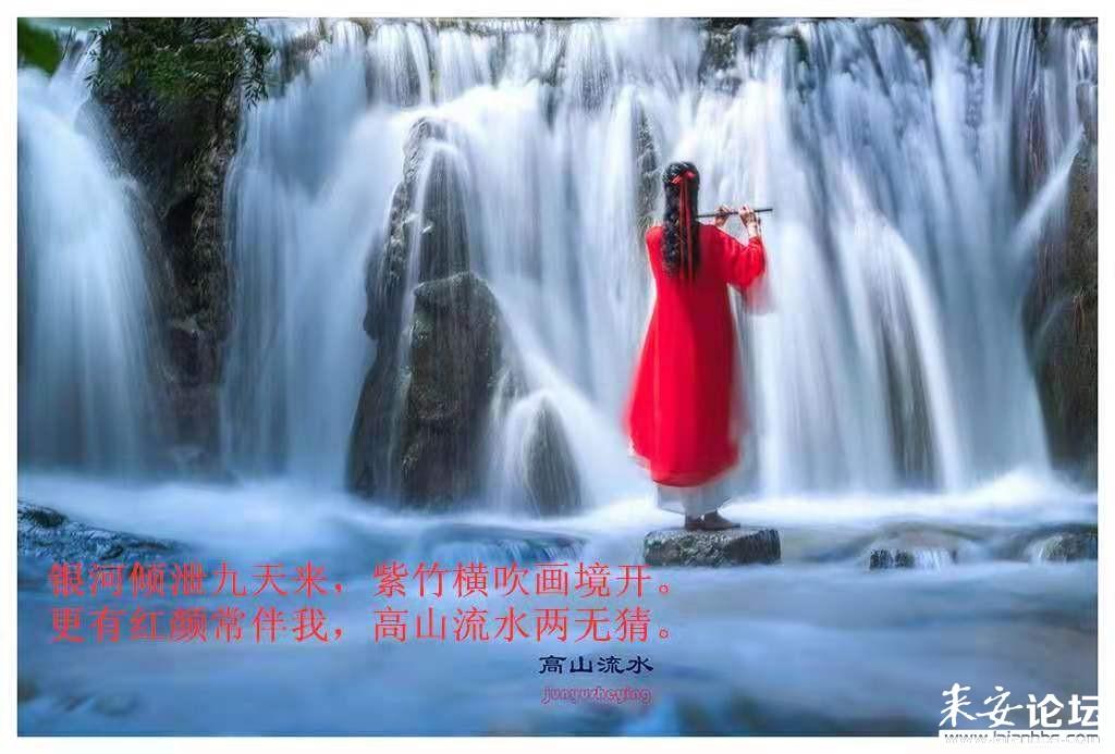 坦克大乱斗