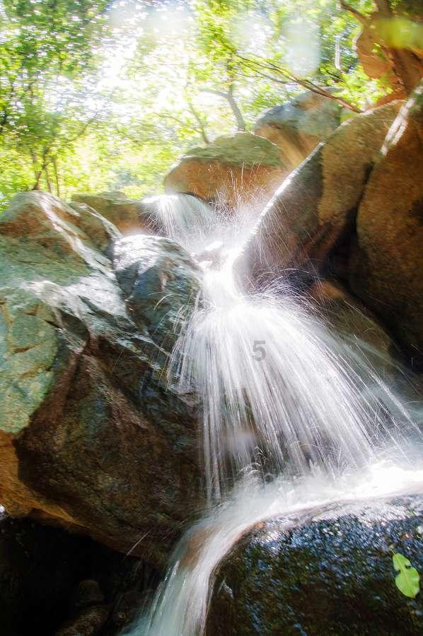 沪江开心词场