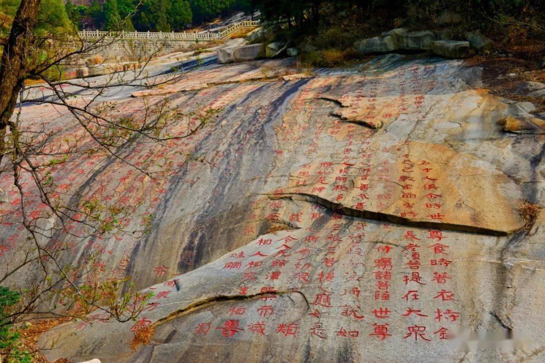 疯狂黏黏乐