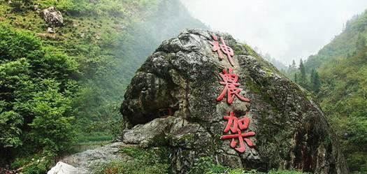 全年盈利超100亿,京沪高铁扭亏为盈