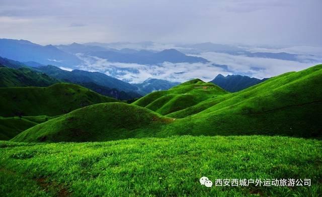 数读中国 | 税收大数据，透视高质量发展新亮点