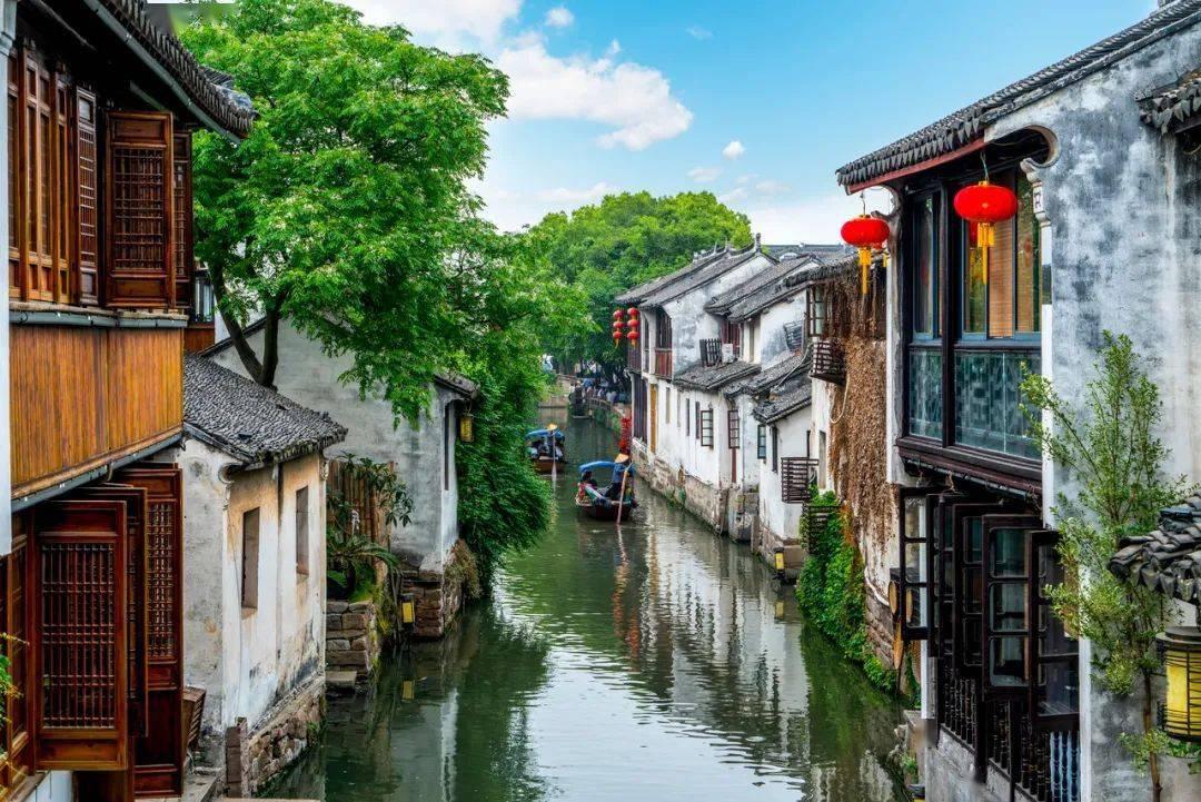 被关起来的吉娃娃为了出去,把门都给拆了,可是……