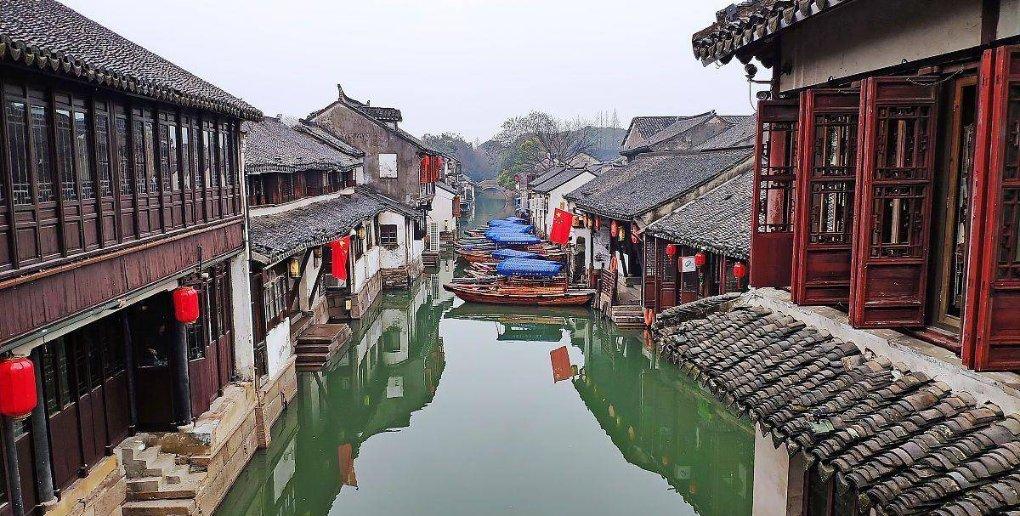 拯救穆尔小马